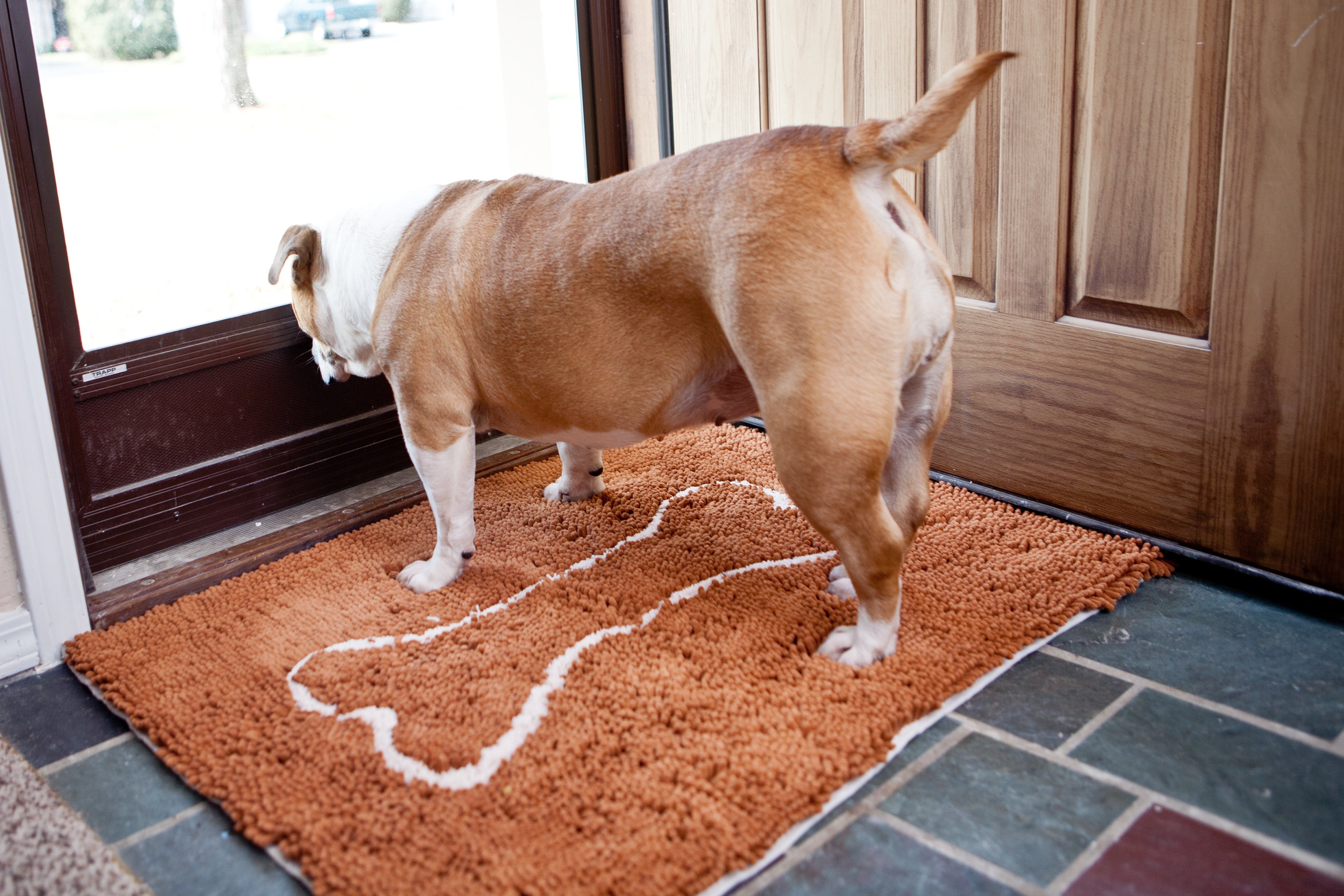 allternatives to dog rope toys Shop for Non-Toxic Toy Ropes for Dogs Online