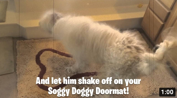 Soggy Doggy Video - How to: Give Your Dog a Bath