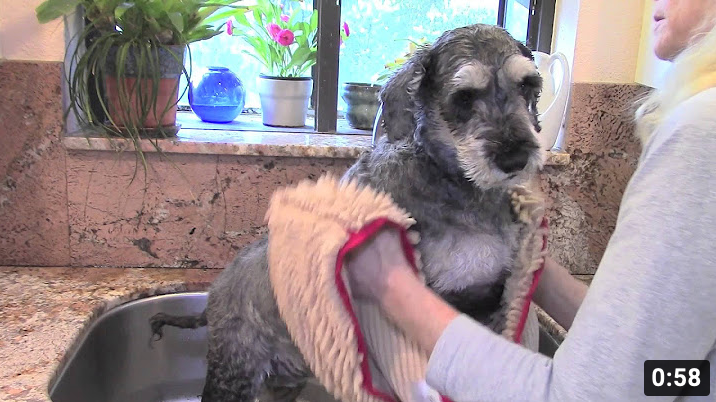 The Soggy Doggy Super Shammy - wet dog towel