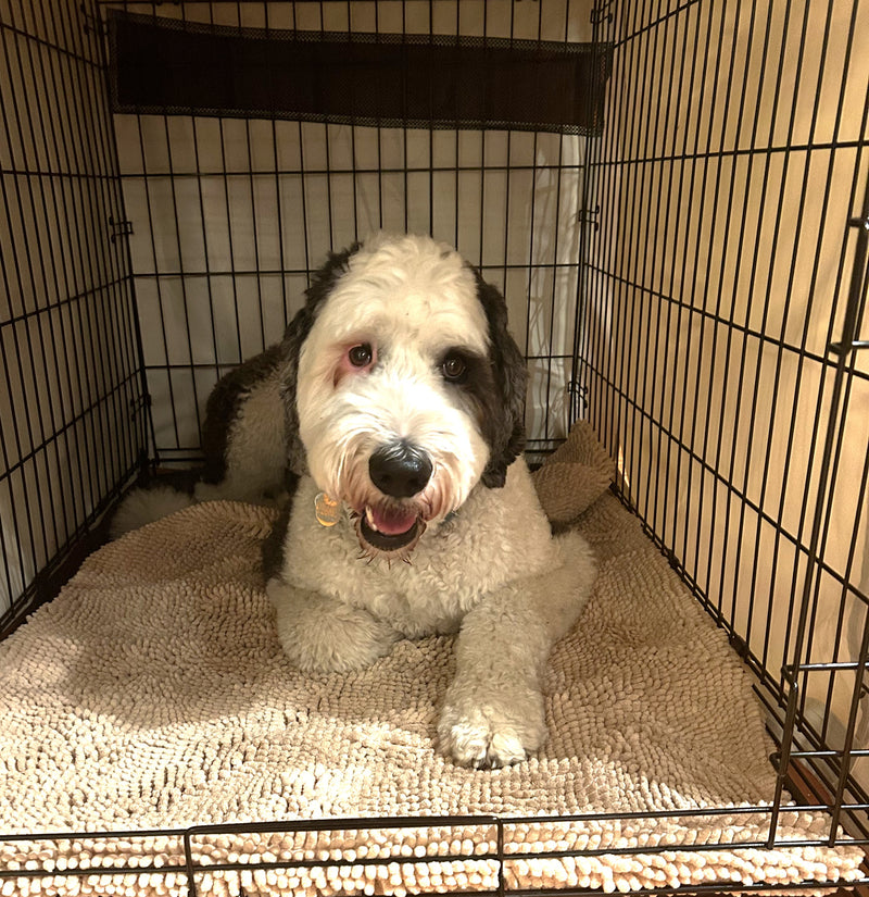 Soggy Doggy Crate Mate: Beige