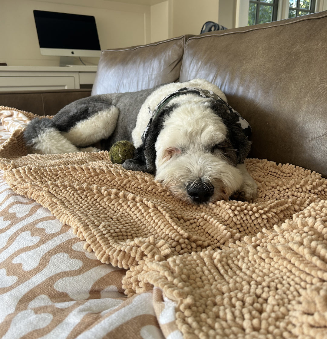 Best sofa throws for dogs hotsell