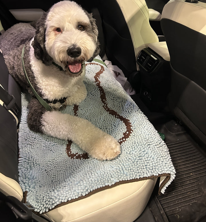 Blue Absorbent Dog Doormat - Shop Now | Soggy Doggy