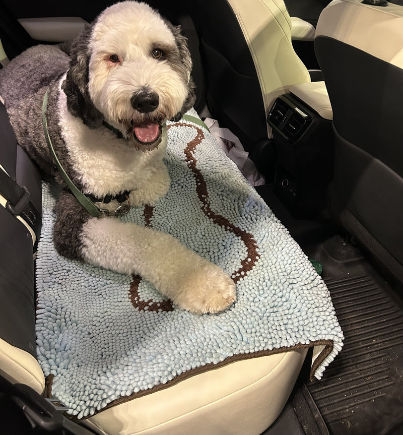 Blue Bone Absorbent Doormat