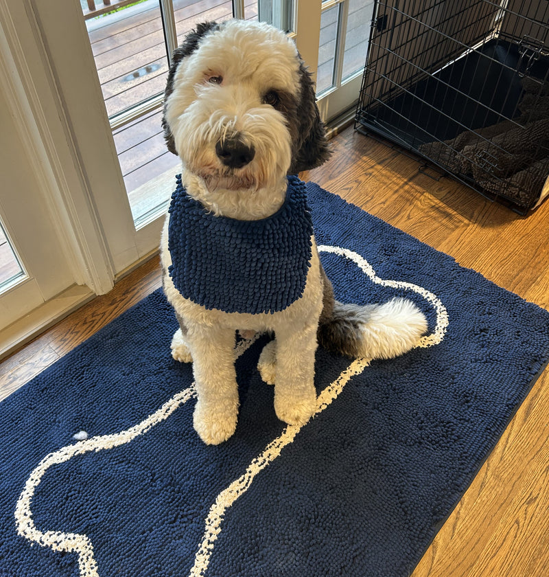 Navy Blue Bone Absorbent Doormat