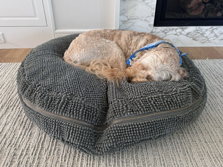 Soggy doggy dog beds discount