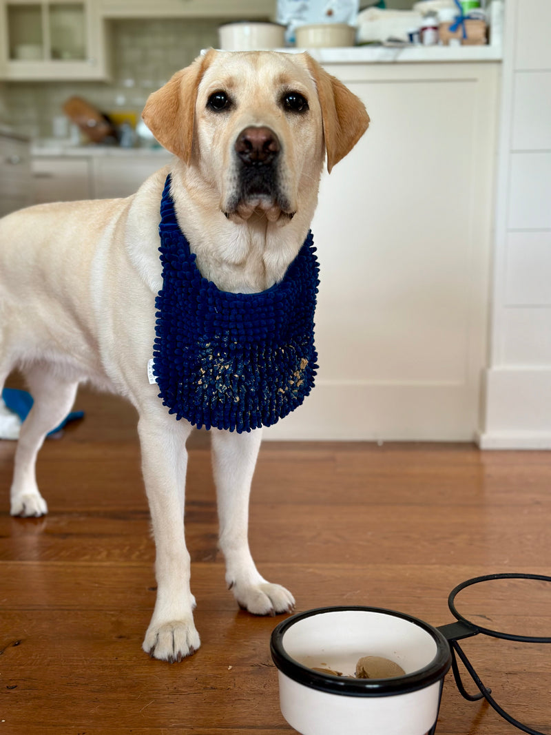 Dog Bib Dog Bandana Soggy Doggy Doormat