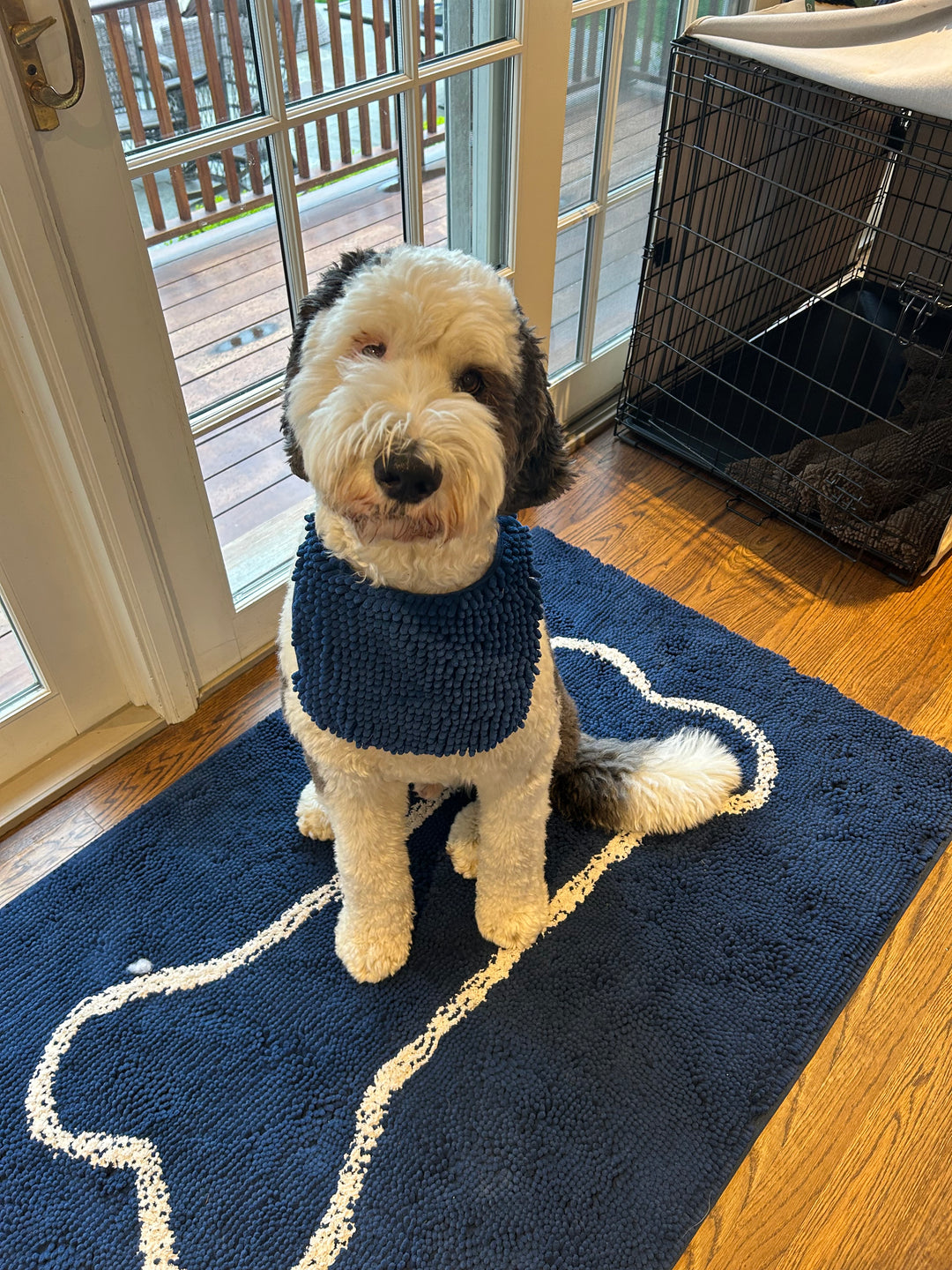 Dog Bib Dog Bandana Soggy Doggy Doormat