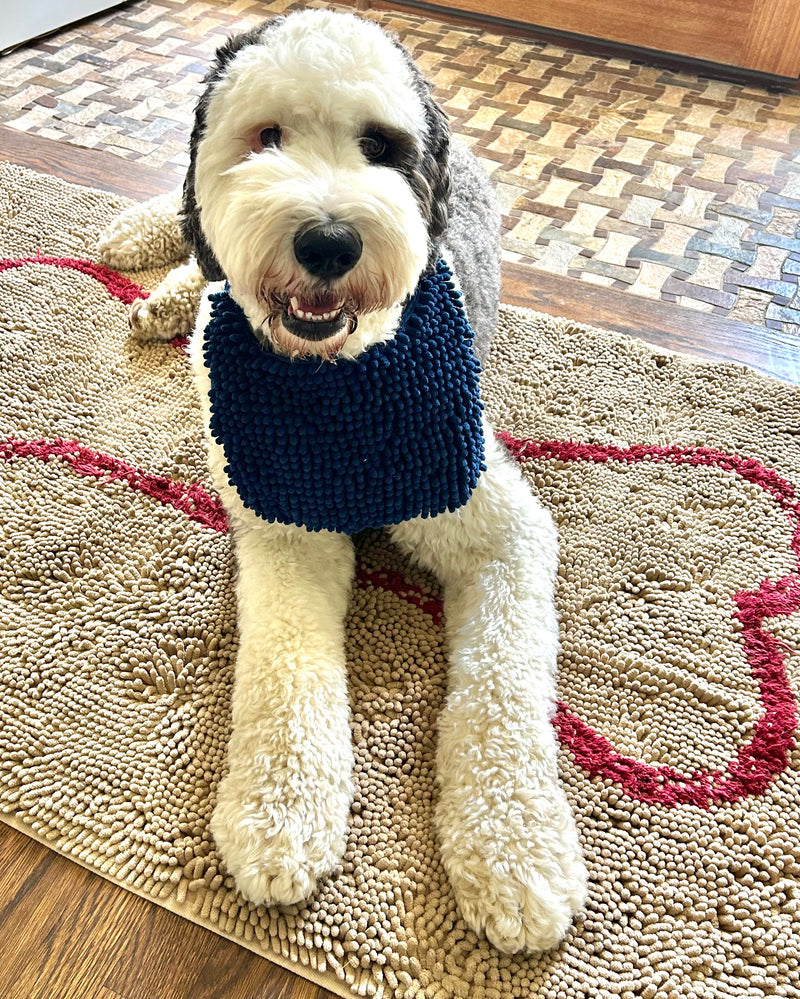 The Soggy Doggy Dog Beard Bib / Dog Bandana