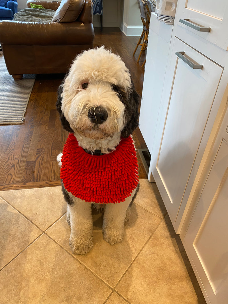 Clyde wearing Cranberry beard bib