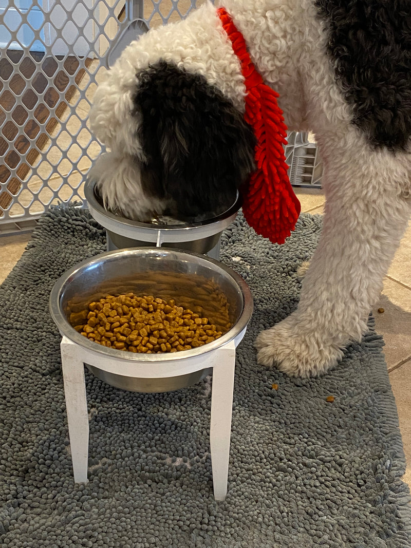 Clyde eating with beard bib
