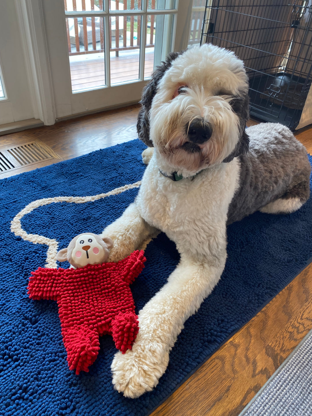 Soggy doggy walking toy cheap