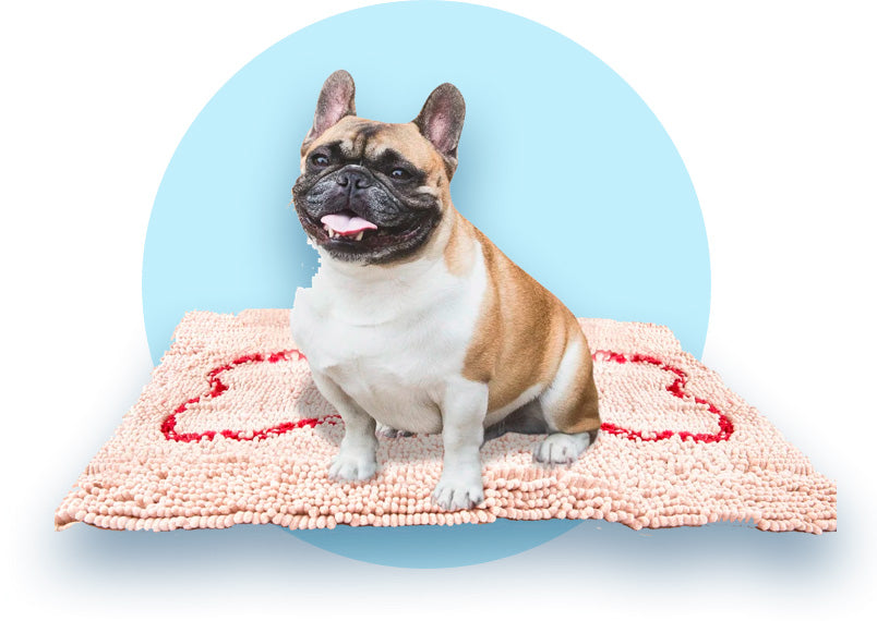 Soggy Doggy Large Microfiber Chenille Doormat - Bone Design – The Pasl