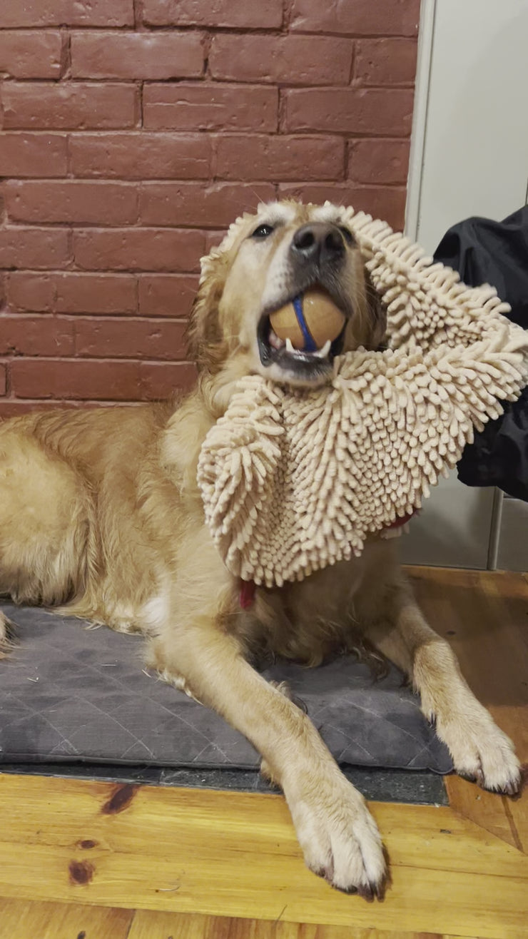 Soggy doggy drying towel new arrivals