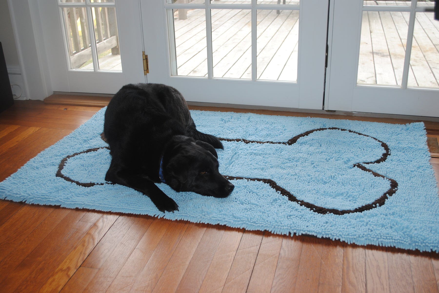 Soggy Doggy Doormat with Bone Design, Microfiber Chenille Indoor Wet Dog Mat  for Muddy Paws and Drying, Ultra-Absorbent Dog Mats for Sleeping and  Lounging, Ever…