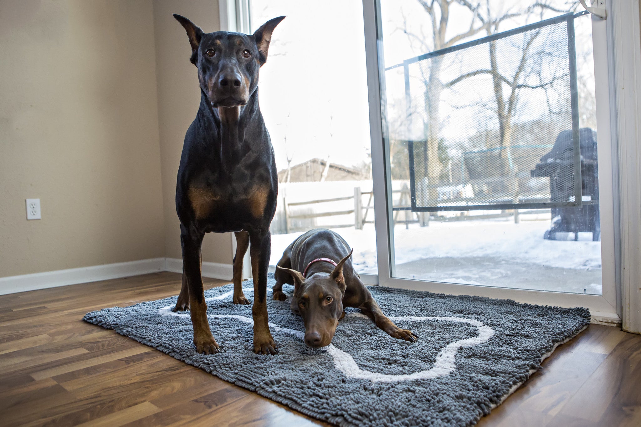 Grey Bone Absorbent Doormat - Thumbnail 4