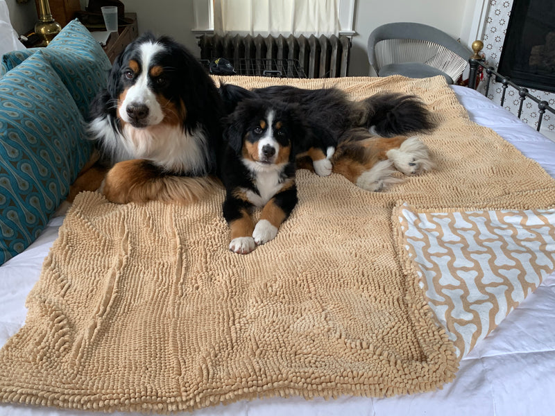 Super Soft Dog Blanket Small - Grey and Cream