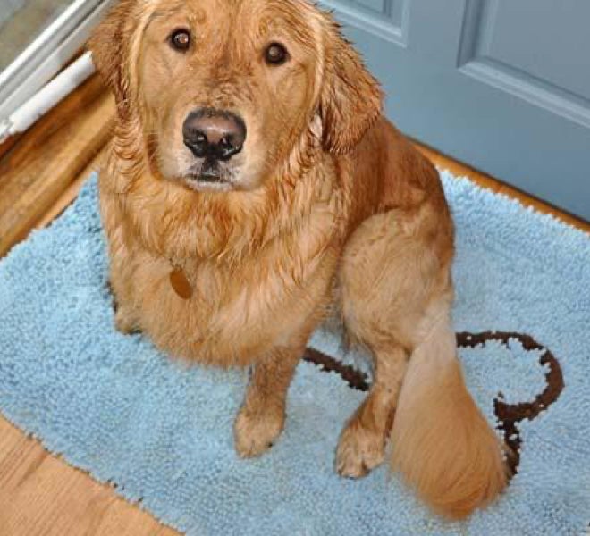 Blue Bone Absorbent Doormat