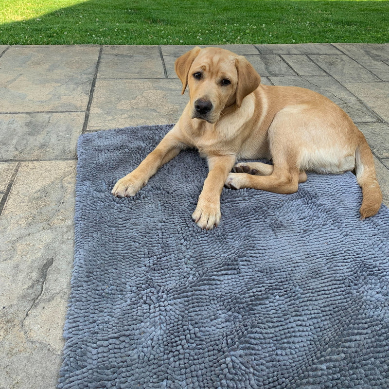 Plain Grey Absorbent Doormat