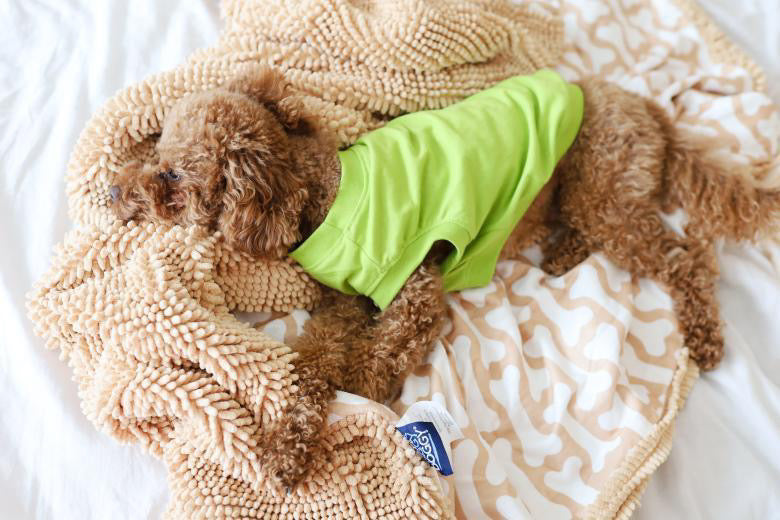 Soggy Doggy Sofa Snuggler Blanket