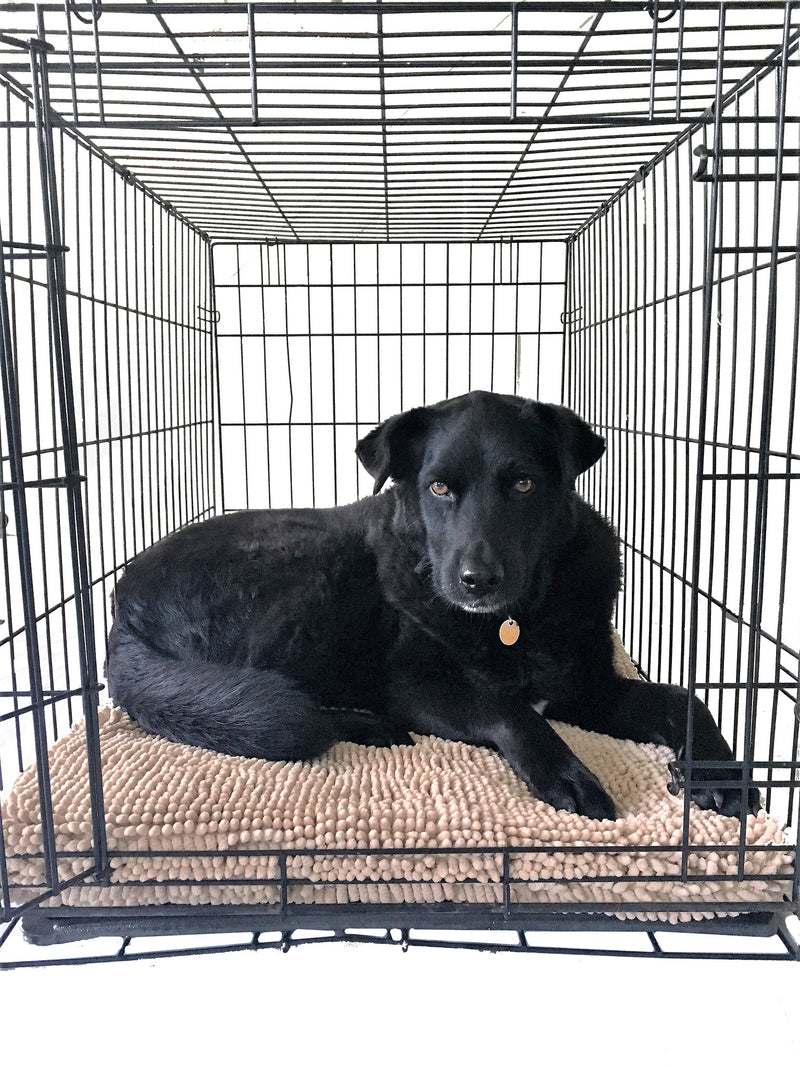 Soggy Doggy Crate Mate: Beige