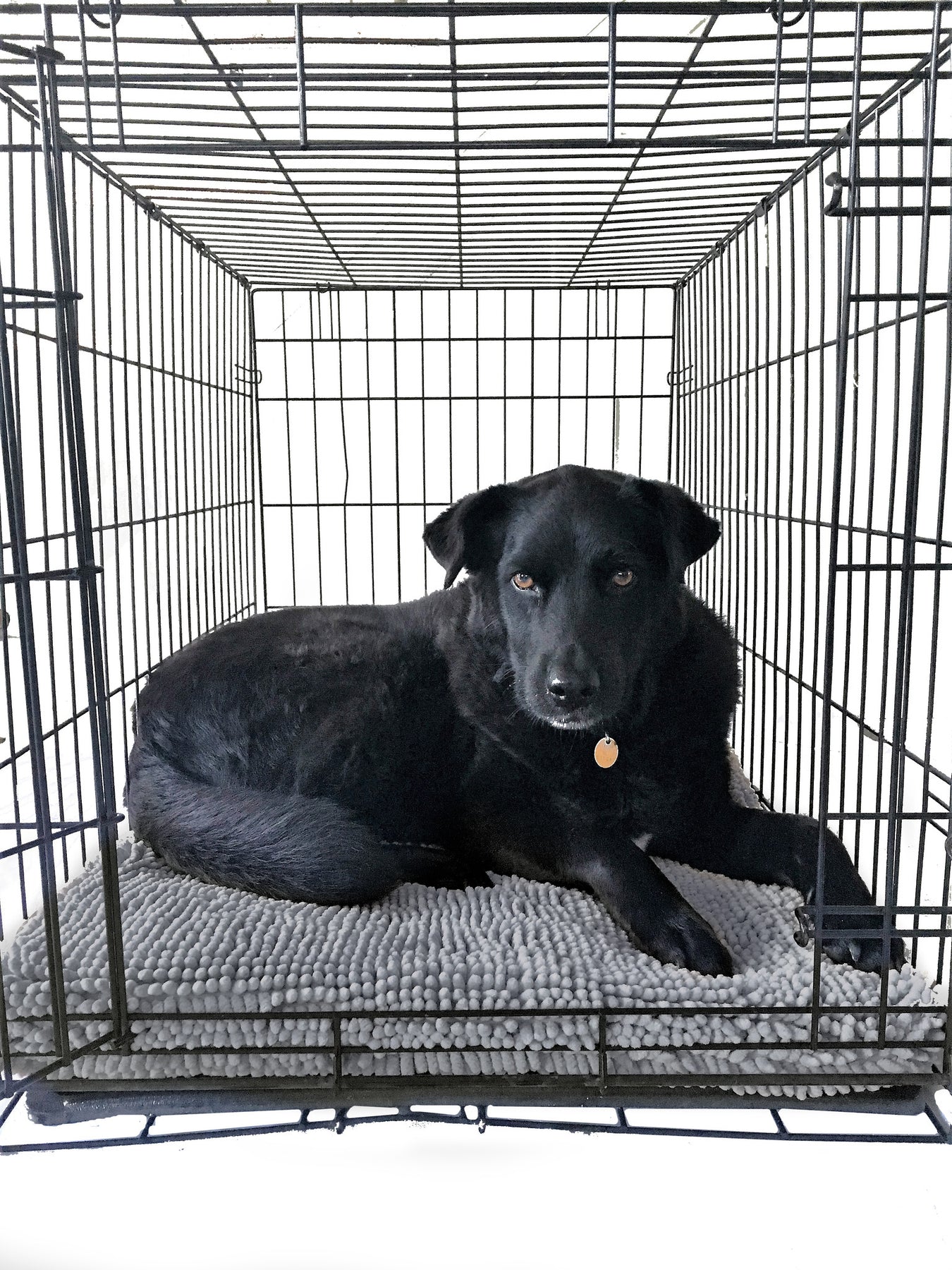 Soggy doggy crate mat top