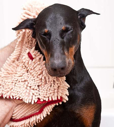 Dog Door Mat For Muddy Paws Absorbs Moisture And - Temu