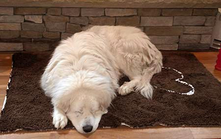 Big Dog on X-Large Doormat (Chocolate Color)