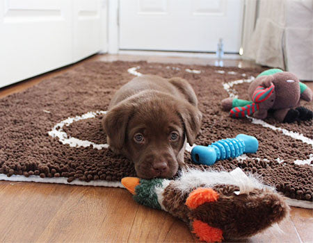 Puppy on Chocolate Doormat